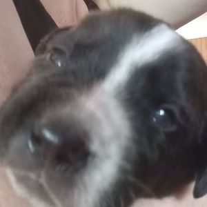 Meet your Posher, Jill